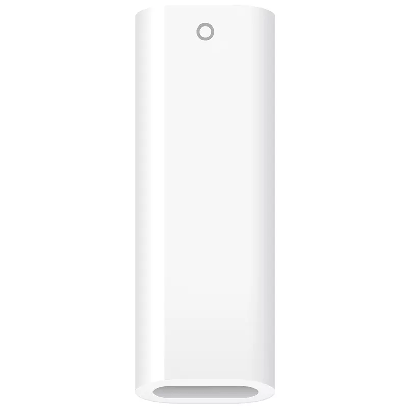 Apple Adapter USB-C Buchse / Apple Pencil