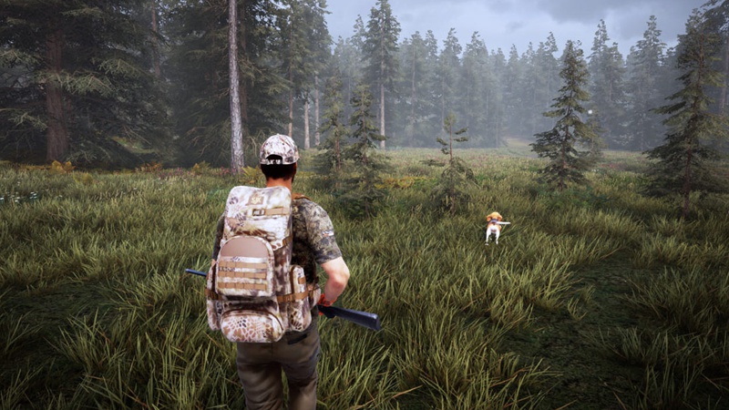 Hunting Simulator 2 (PC-Spiel)